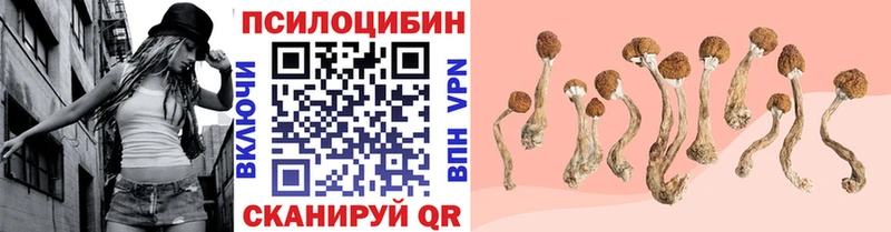 Галлюциногенные грибы Cubensis  купить наркоту  Алейск 